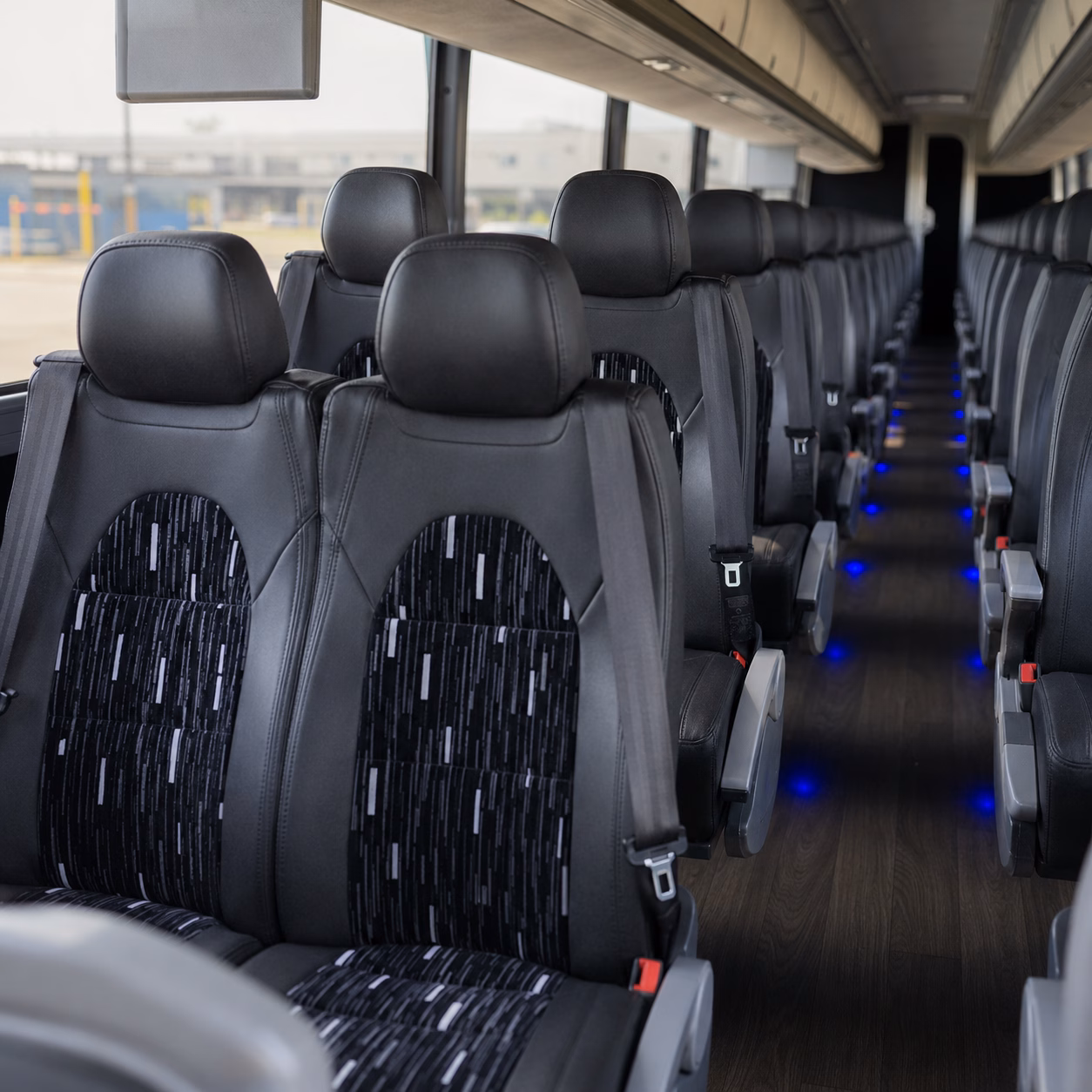 comparing bloomfield buses made simple